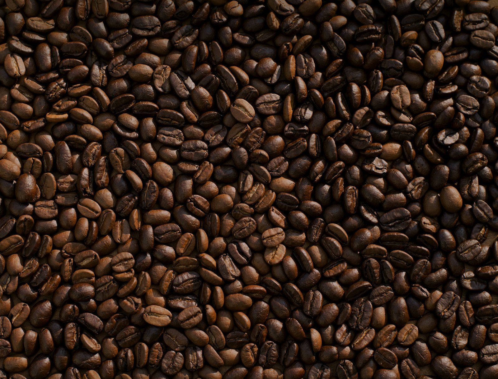 Freshly roasted L'affare coffee beans