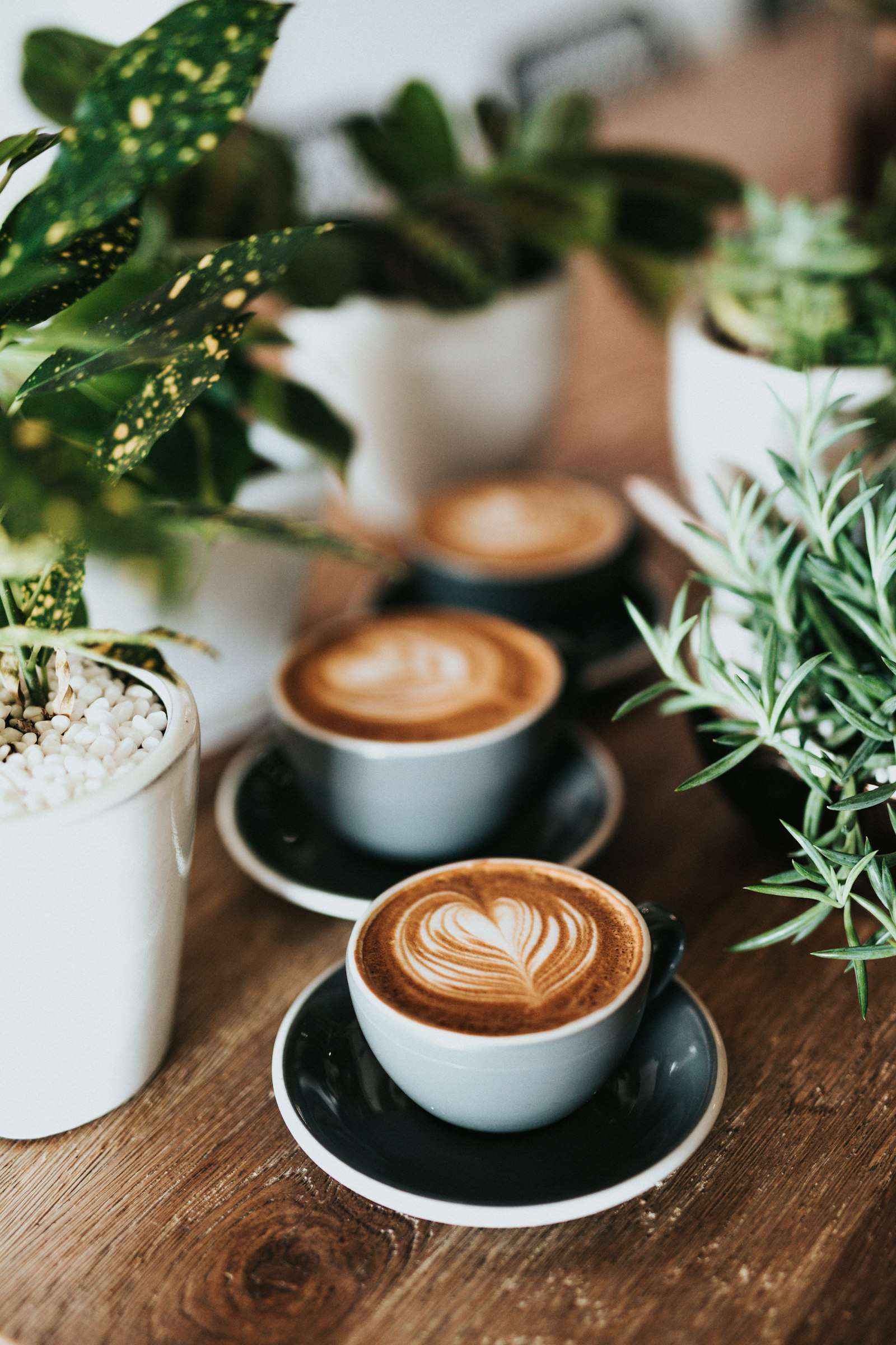 Mochaccino at Presshouse Coffee